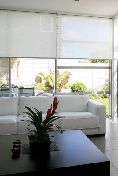 Rollease Acmeda R-Series Clutch Operated Roller Shades near Tampa, Florida (FL)
